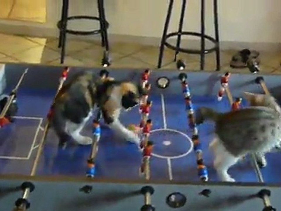 chat foot matt