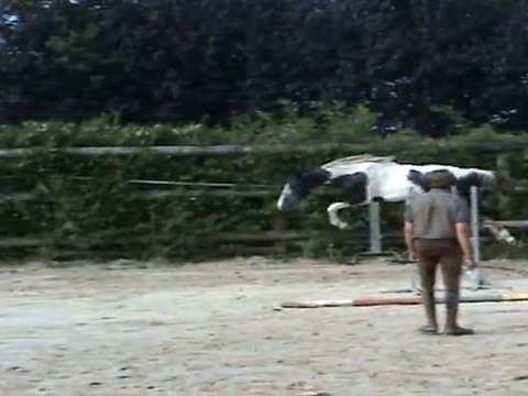 premiers sauts en liberté - dans le calme - merci Christophe et Emilie
