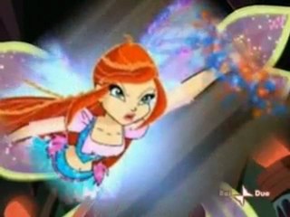 Winx Soru Ve Hayran Kartı