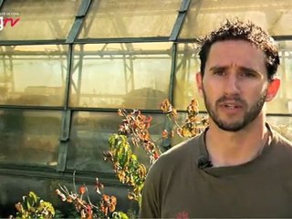 plantes invasives