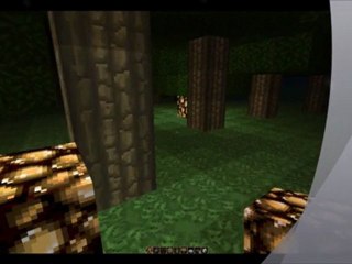 decouverte de mon serveur minecraft