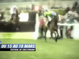 Festival de Cheltenham - Equidia