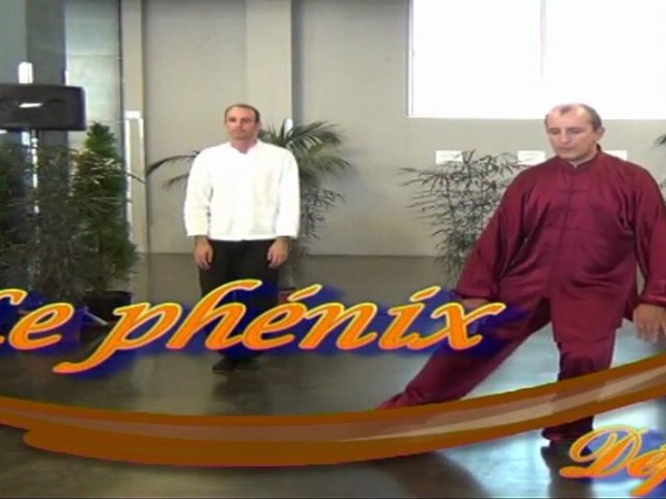 Phénix déploie ses ailes