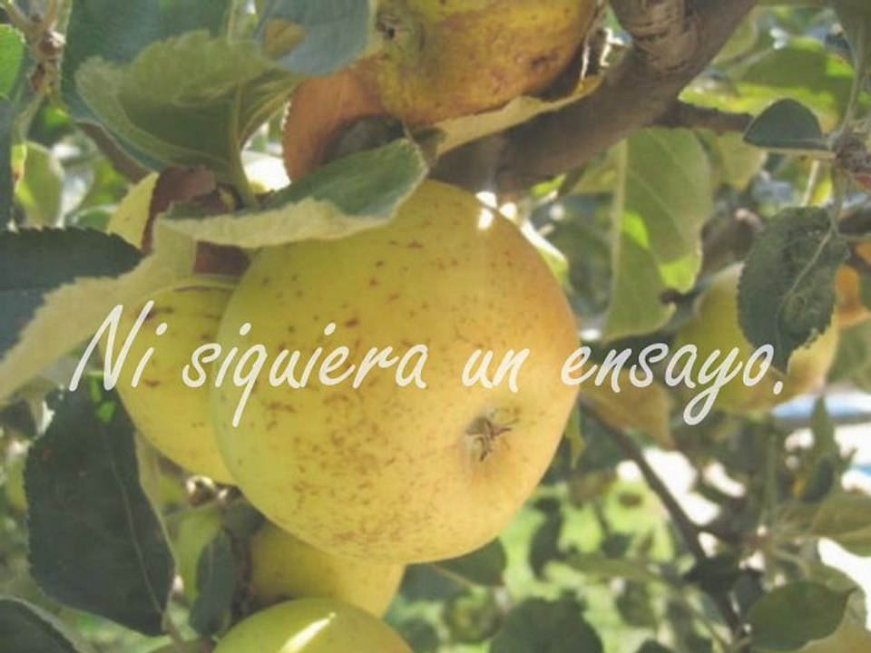 Preludio