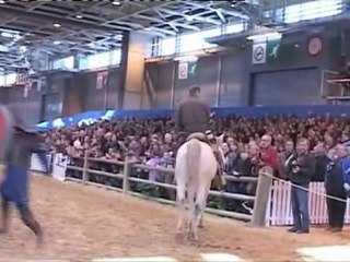 Spectacle de l'Ecole Kassai