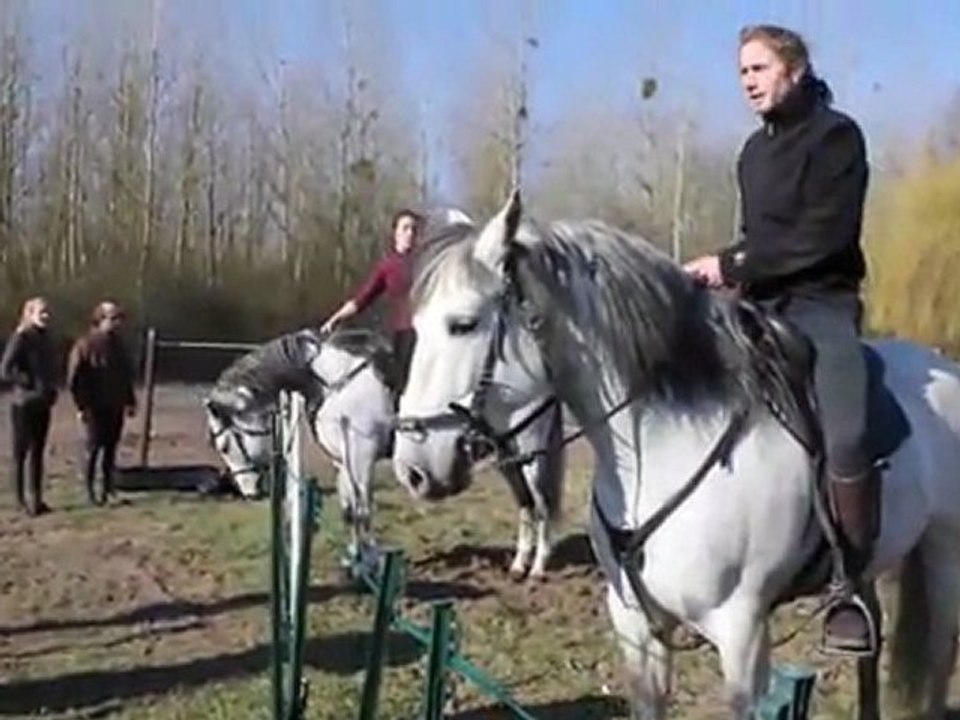 Excalibur : des cascades signées Mario Luraschi 1/3 - Equidia