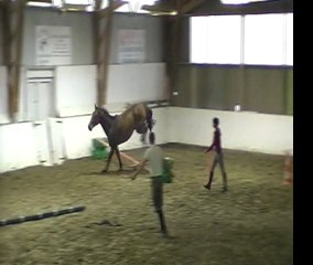 Henrico Van Den Bosrand et Azar des Aulnes Z