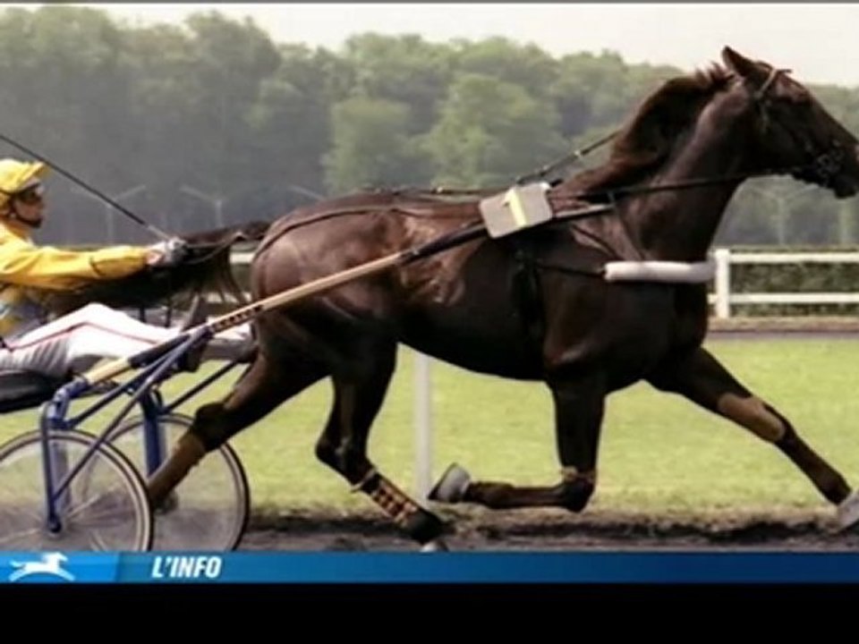 Joyeux anniversaire Ourasi ! - Equidia