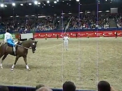 Programme de voltige de Nicolas Andréani - Equidia