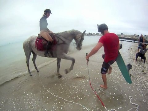 Wakeboard: Horse Surfing 2011
