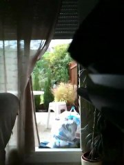 Mr1 Experience the Thrill of Mr1 Electro Paintball Game 🎯