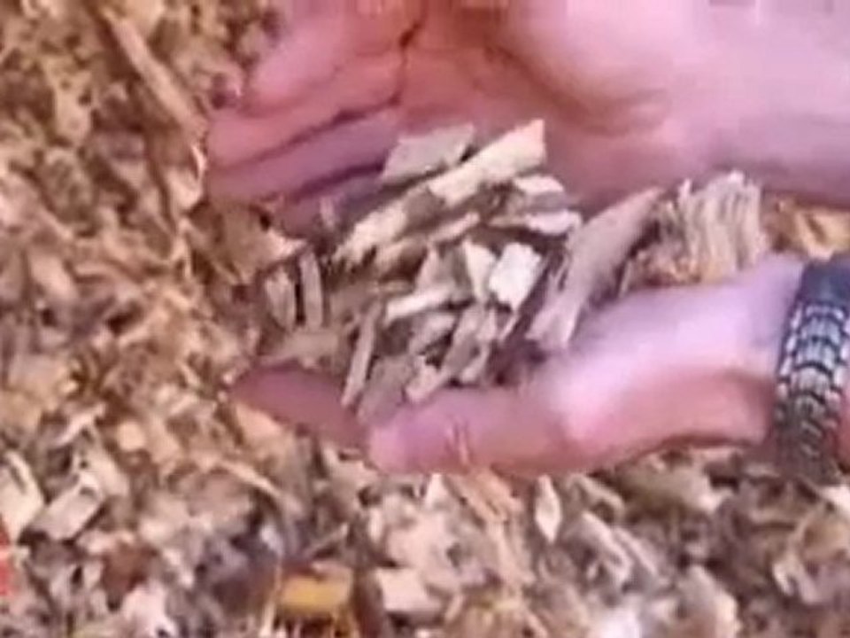 Politique énergénique dans le Mené