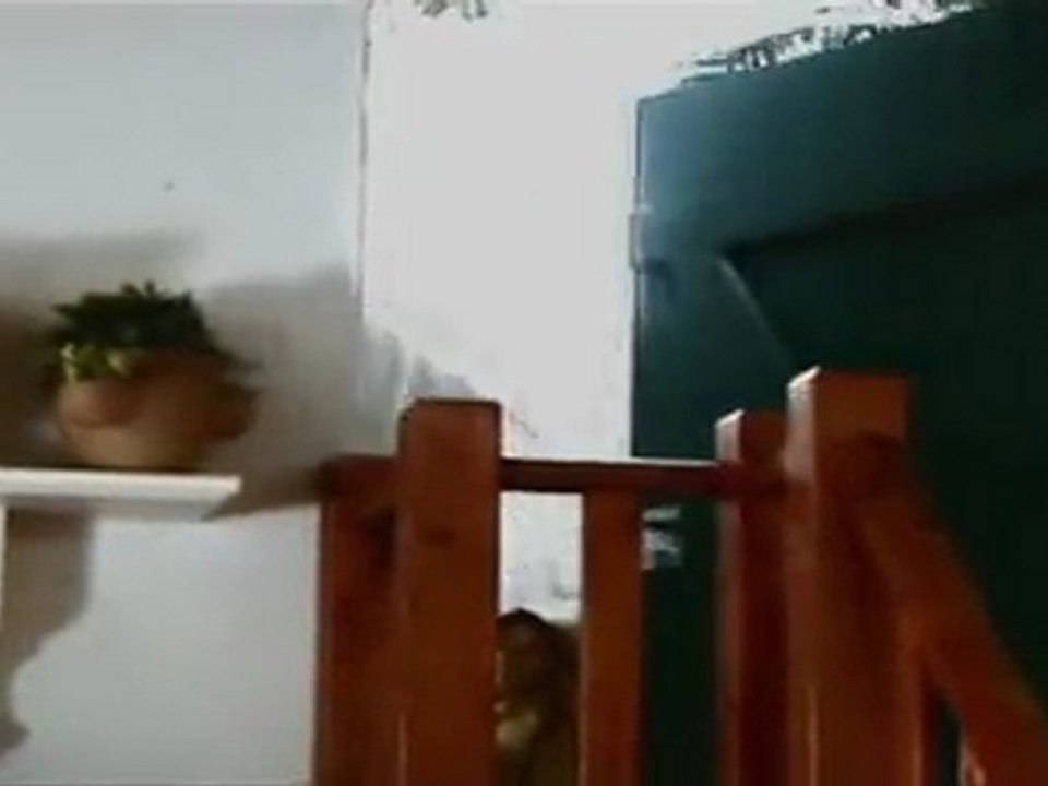 intro eine frau ohne vergangenheit