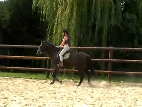 Unique en'Tou (3 ans) - monté plat - août 2011