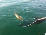 Pêche à la traîne d'un brochet en Savoie sur le Lac du Bourget 73