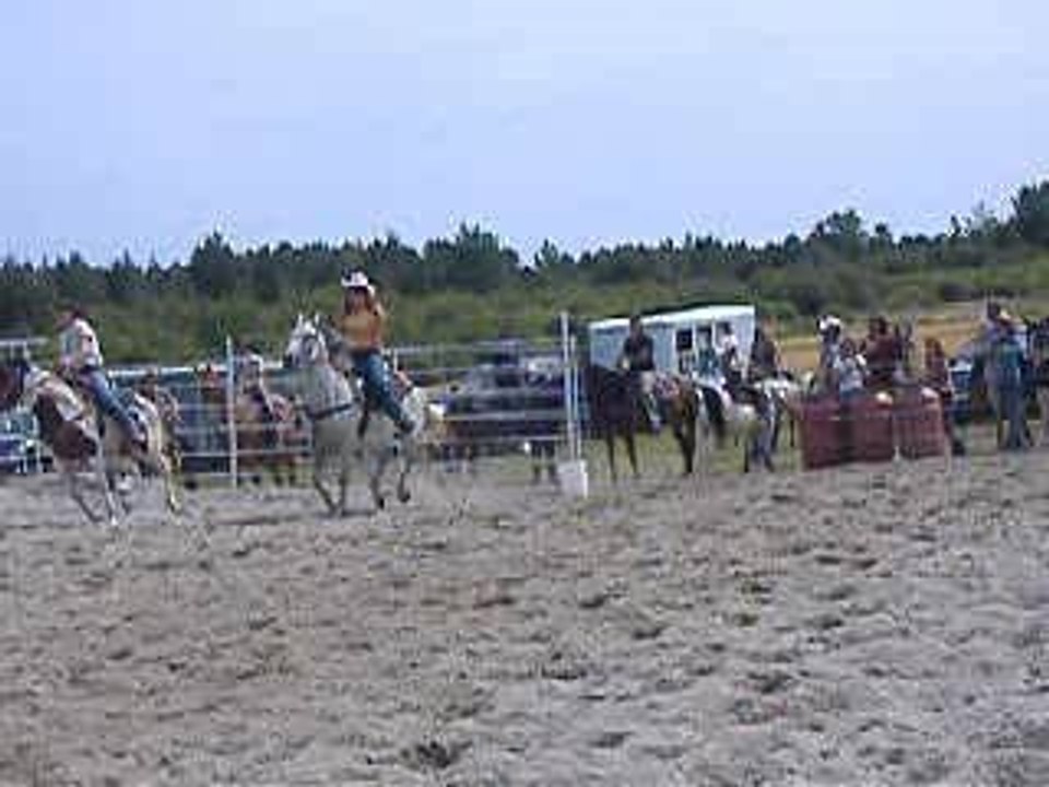 Chevaux 074