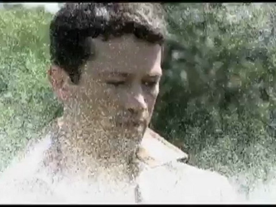 The Korean 2008 Trailer