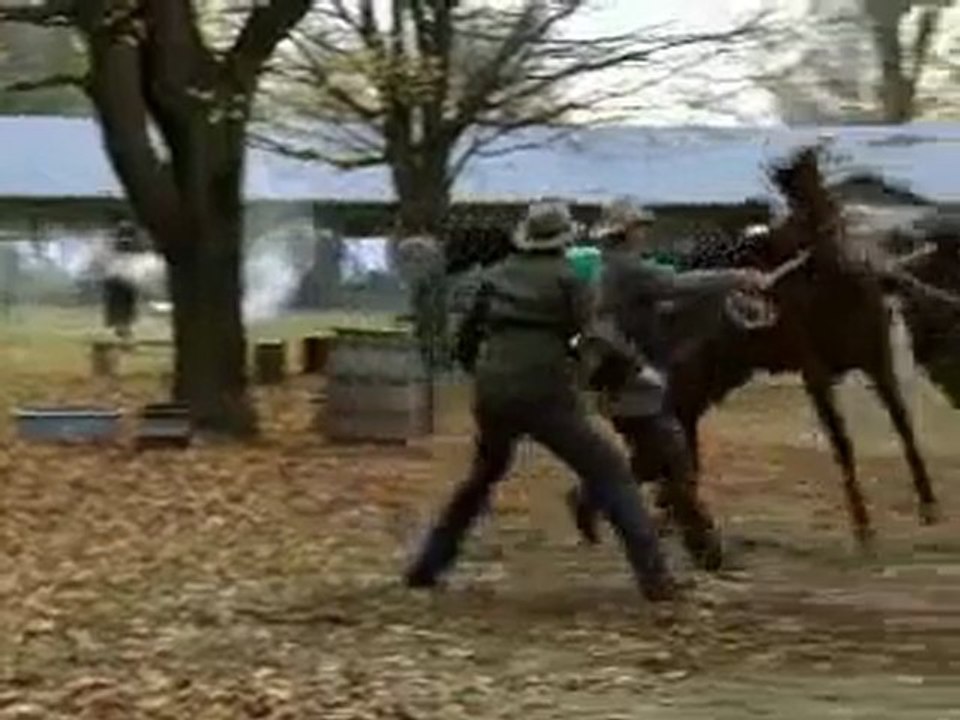 I Am - Horses