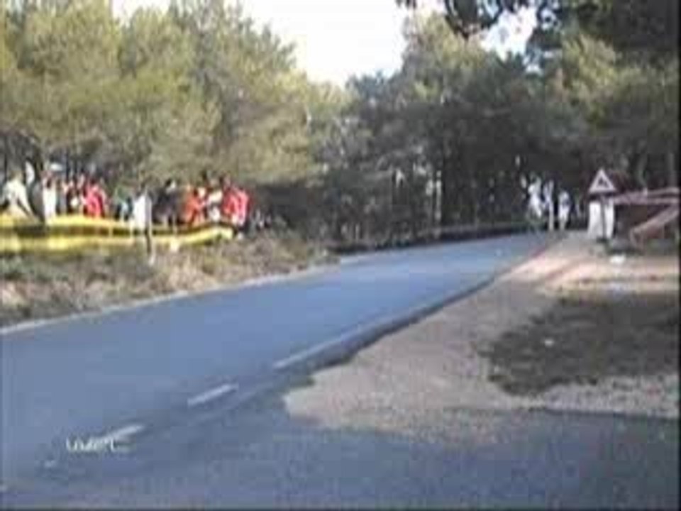 Driver's Live Saved By Tree