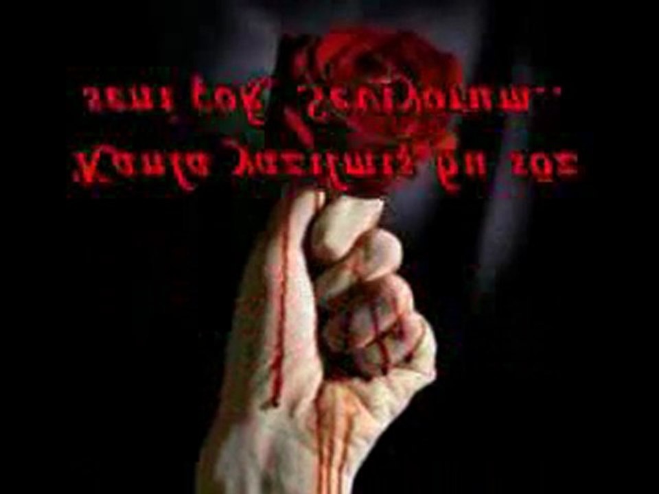 Seni Çok Seviyorum ( Harika Şiir )