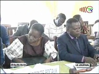 Réunion sur la diversification de l’économie congolaise