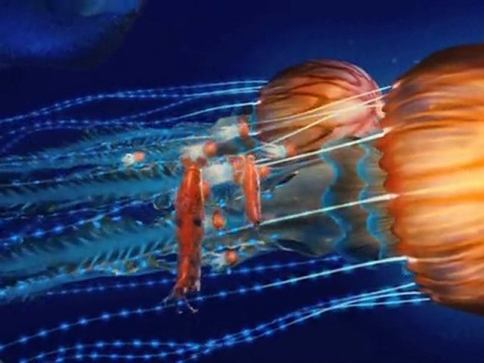 Happy Feet 2 : bande annonce #3 VO