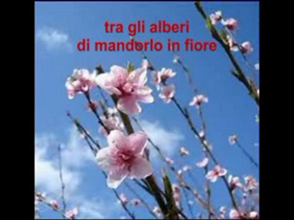 Scusa Gesù Ti Do Del Tu Testo