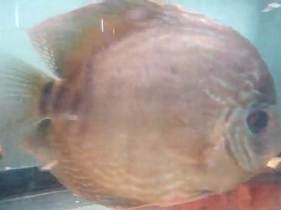 video-2011-10-07-10-43-20