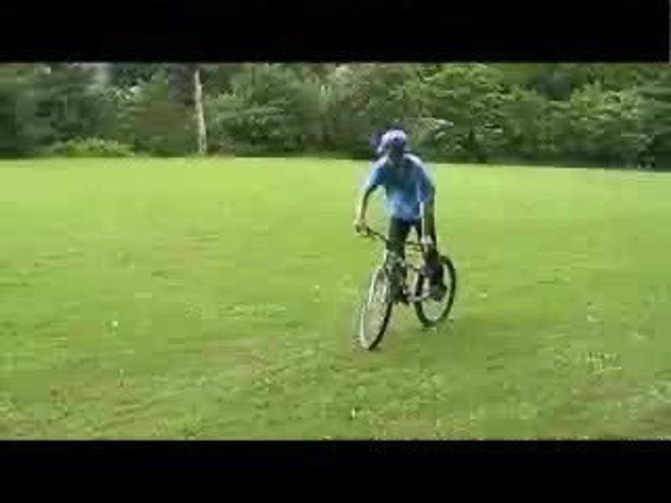 Bunny Bike