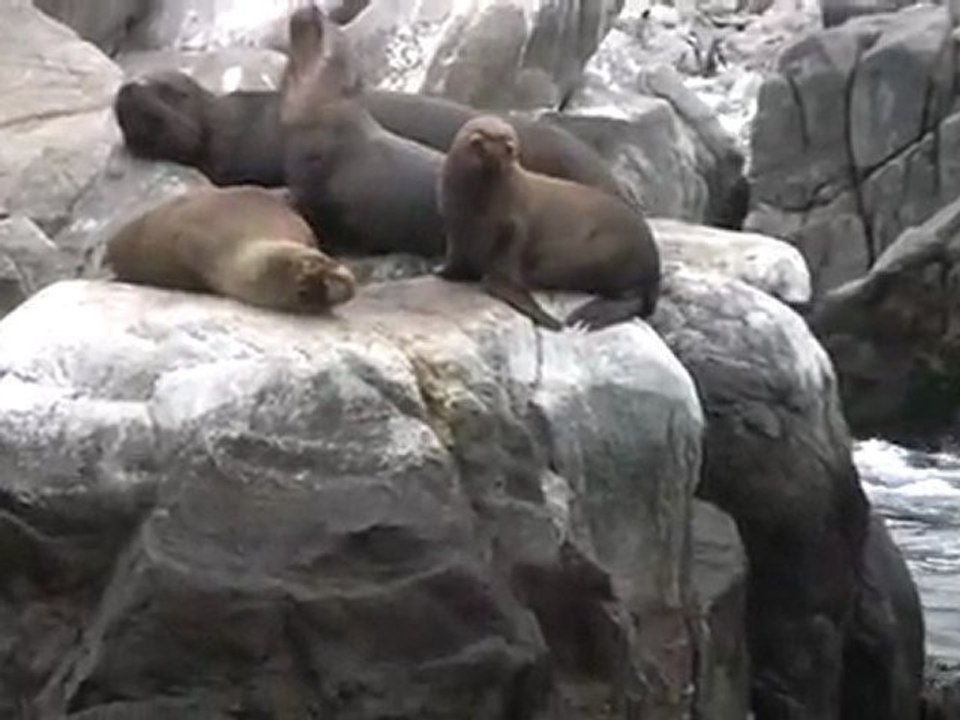 Un voyage en Chili-Bolivie part2