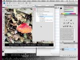 Adobe Photoshop ps-perf-001-02 - Formation par Thierry Dambermont