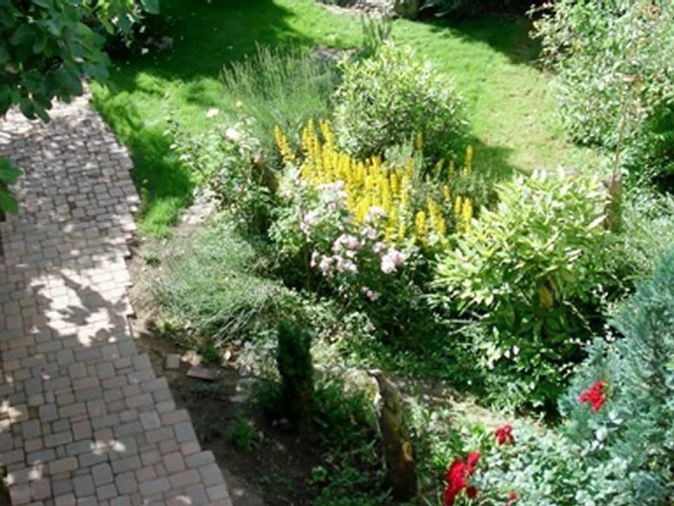 Louis Baudel - Tu verras tu seras bien (J. Ferrat)