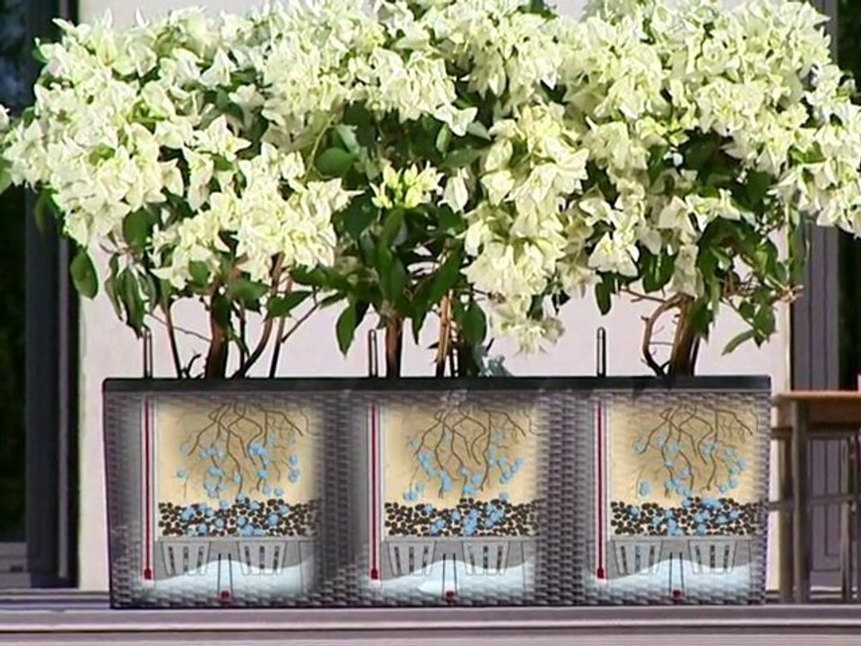 Lechuza Trio Cottage - Produktfilm (c) telefilm