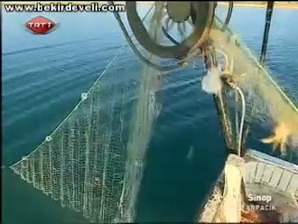 Bekir Develi - Gez Göz Arpacık TRT1 - Sinop / Balık Avı 1