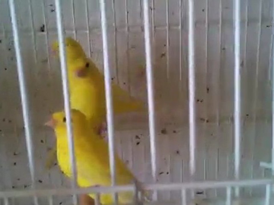 MOV_0412
