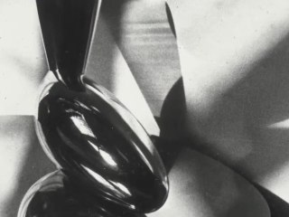 Accrochage "Histoire de l'Atelier Brancusi du 27 janvier 2010 au 7 novembre 2011