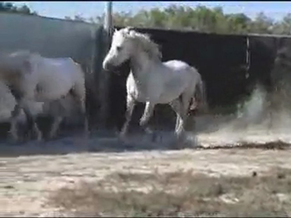 verdi sept 2011