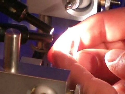 INSEMINACIÓN INSTRUMENTAL DE ABEJAS REINA