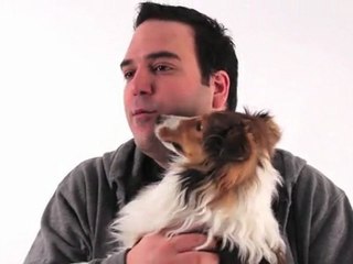 Aboiement RENFORCEMENT POSITIF