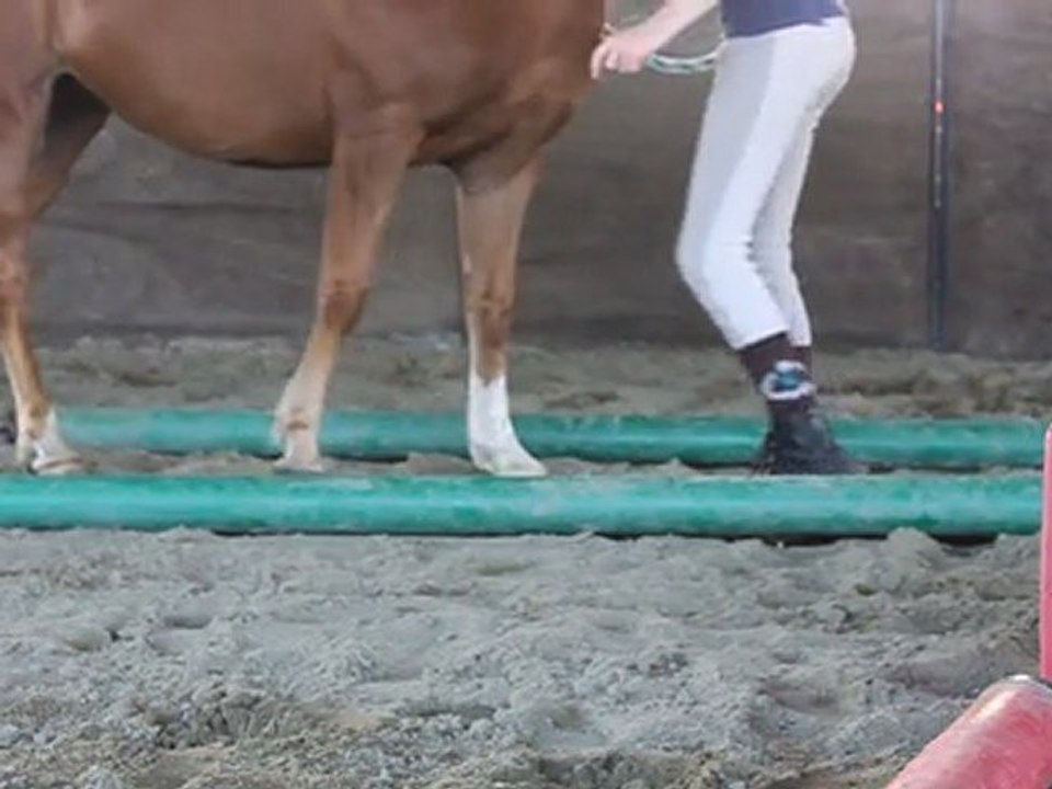 Flicka :) recule ♥♥