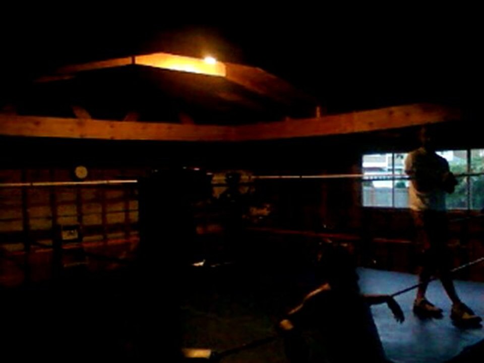 pro wrestling training