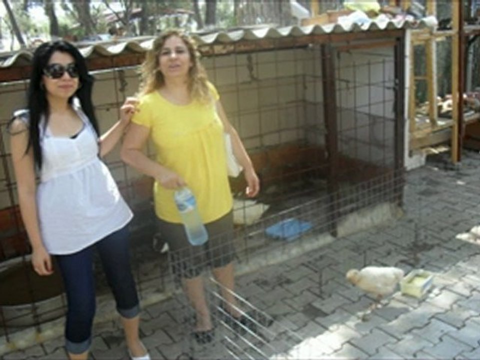 Ayşe Demir harika videolar türküler @ MEHMET ALİ ARSLAN Videos