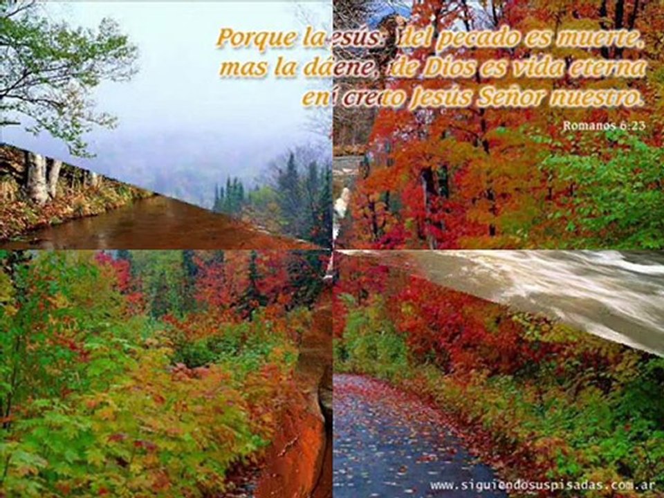 Wallpapers e imágenes cristianas