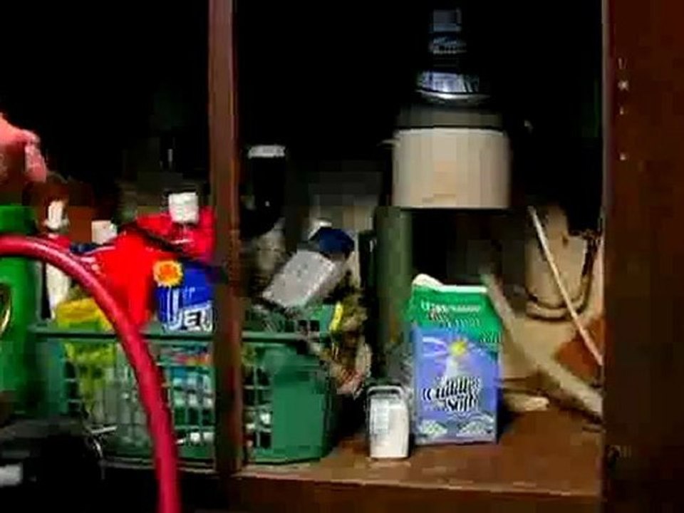 Find office chairs in the UK that are ergonomic, mesh or perfect