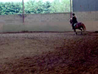 helios et valentine (saut)