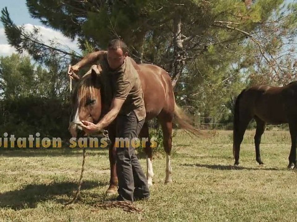 Les performances du Cheval au Naturel