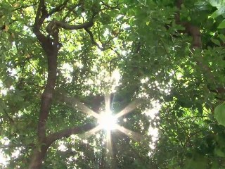 Sitgesonline - Hébergement de sites Web