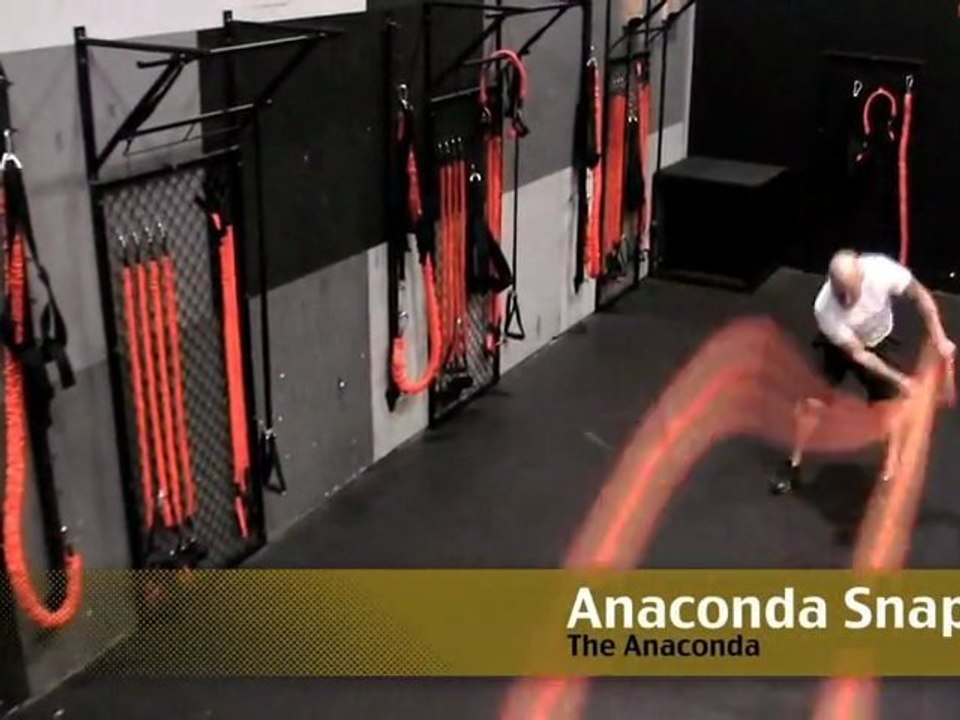 MMA Training - The Stroops Anaconda