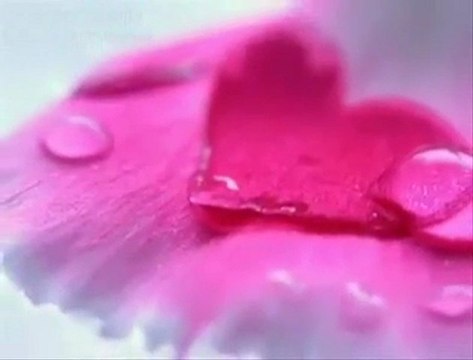 Ah Yar..!!! Seven Yüreklere İthaf Olunur..