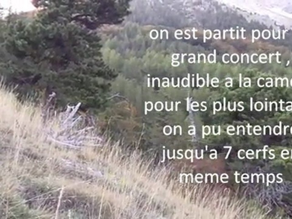 mon05.com le brame du cerf